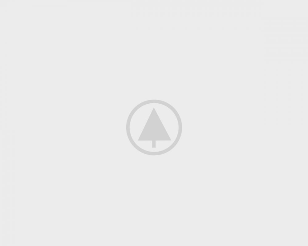Carousels 75